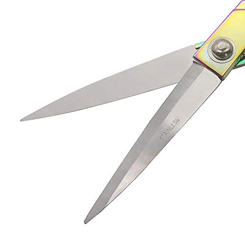 Sharp Rainbow Macrame Scissors